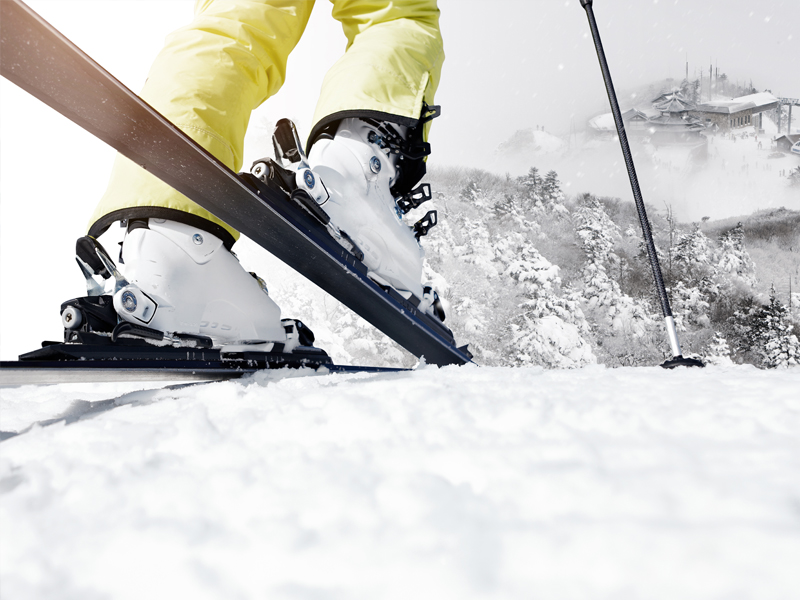 �λ�� ǥ��